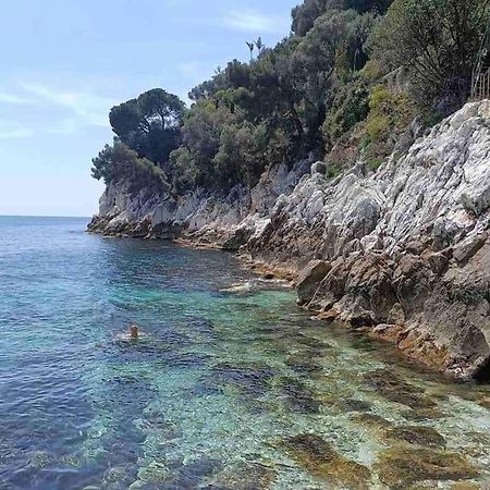 Nice Riviera Fabulous Seaside Apartment With 3 Bedrooms 外观 照片